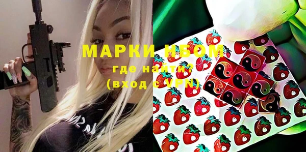 прущие грибы Абаза