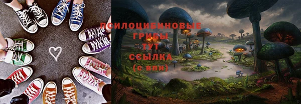 apvp Абдулино