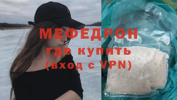 прущие грибы Абаза