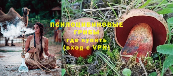 прущие грибы Абаза