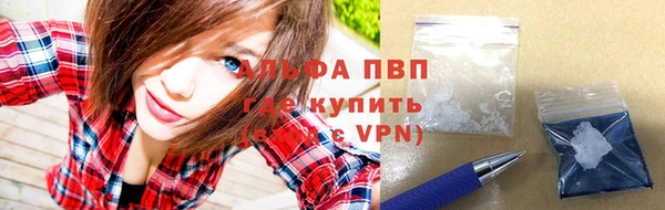 прущие грибы Абаза